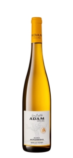 ADAM AUXERROIS 2024 BIO